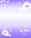 花  线条  粉红色花