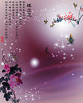 碟恋花