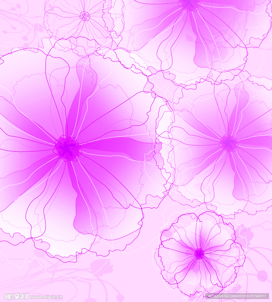芙蓉