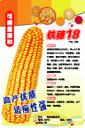 铁穗18