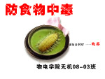 防食物中毒海报