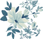 韩国花纹