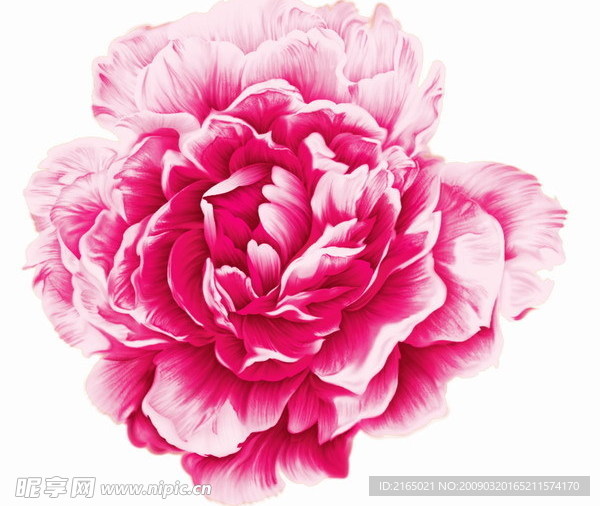精美花纹背景模板