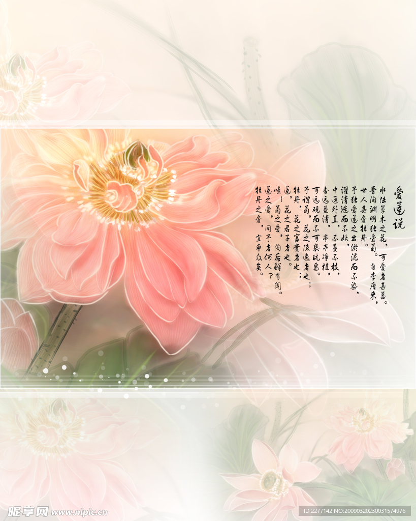 爱莲说II