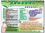 健康生活宣传 家庭食品卫生与营养知识
