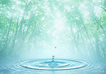 天空 树林 水滴 水纹 阳光