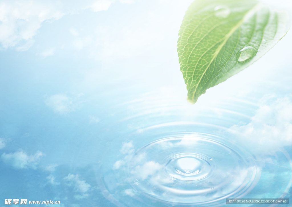 树叶 水滴 水纹