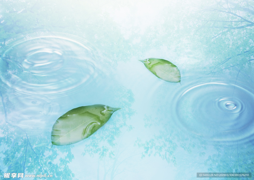 水 天空 树叶 水滴 水纹