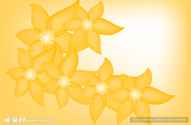 花纹
