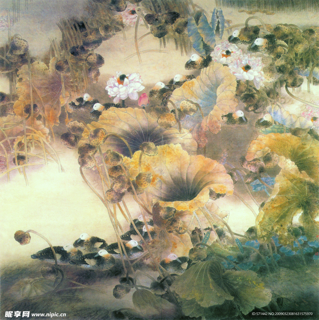 藉花秋雨