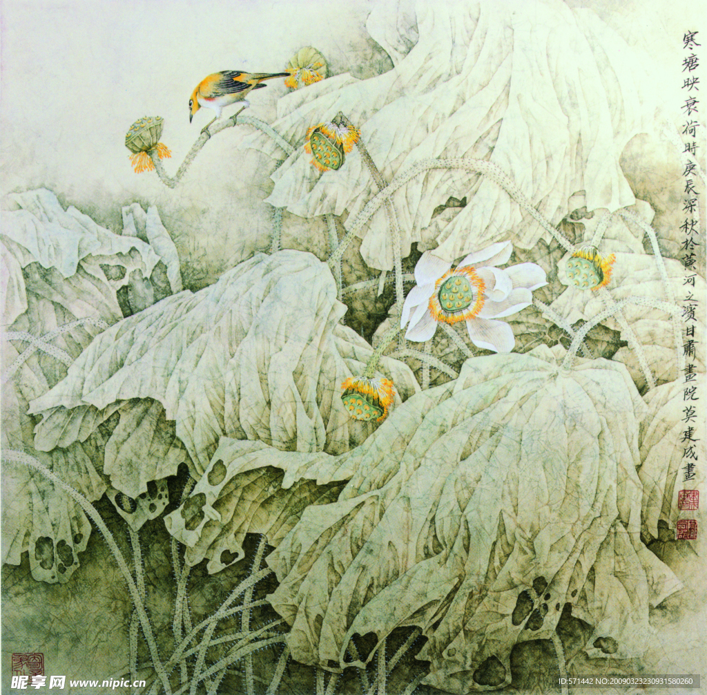 寒塘映衰荷