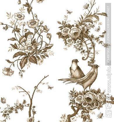 花纹边框