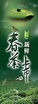 春茶
