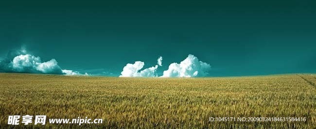 田园风景
