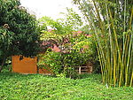 竹林里的小屋