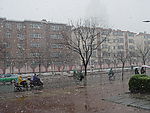 雪中的人群