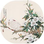 梨花鹦鹉
