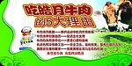 吃牛肉理由