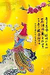美丽孔雀