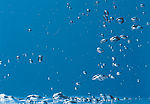 水特写