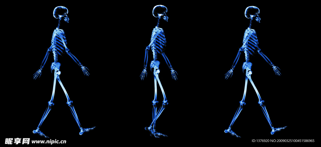 骨骼透视X光底图