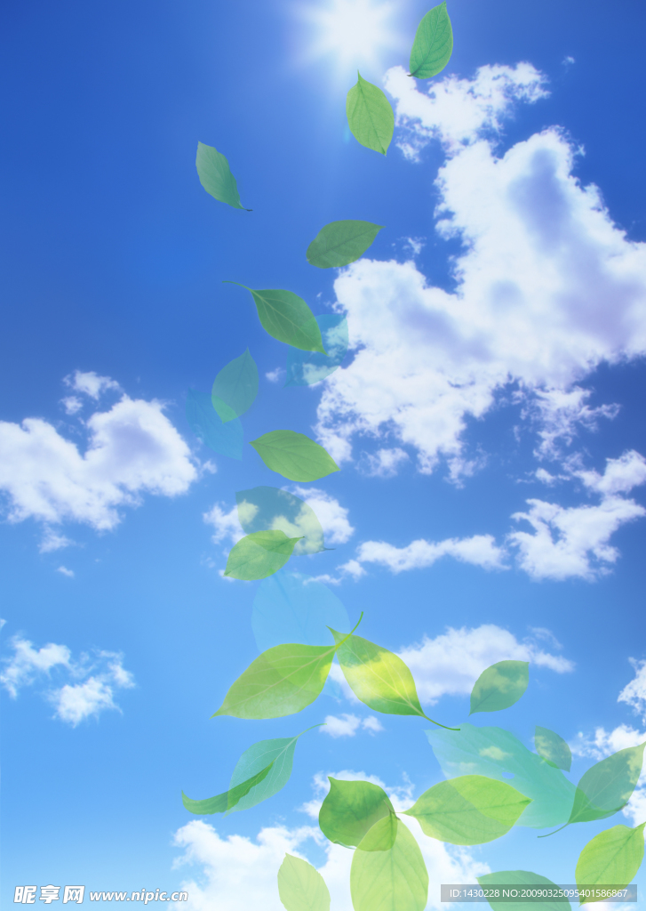 天空 树叶 白云 光芒