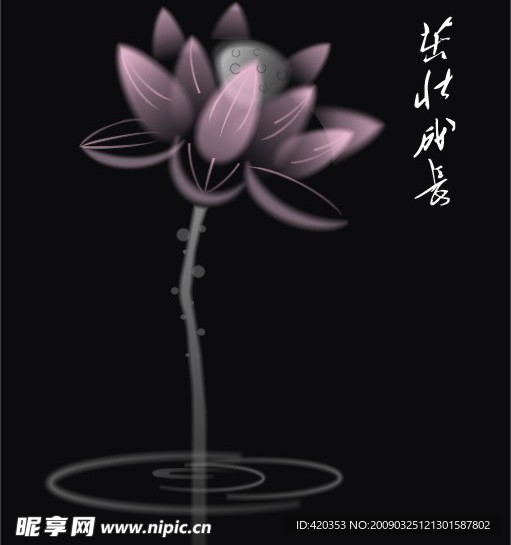 荷花