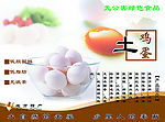 土鸡蛋宣传单