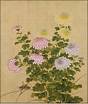 余稚   花卉