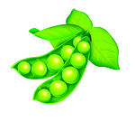 PS分层豆角