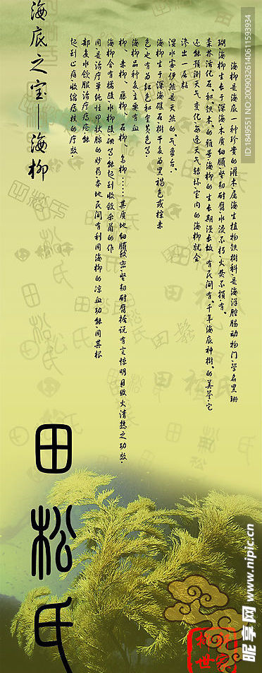 海柳烟嘴