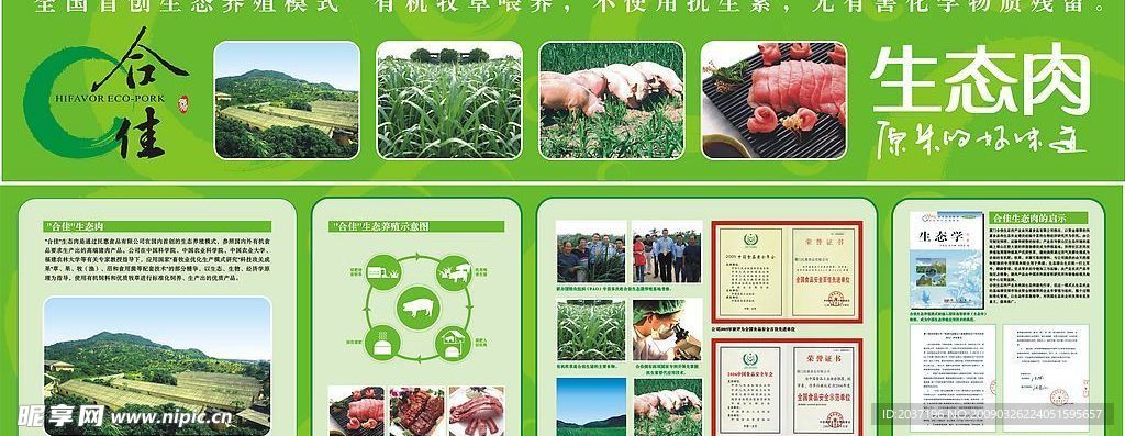 合佳海报设计