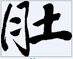 肚 书法字