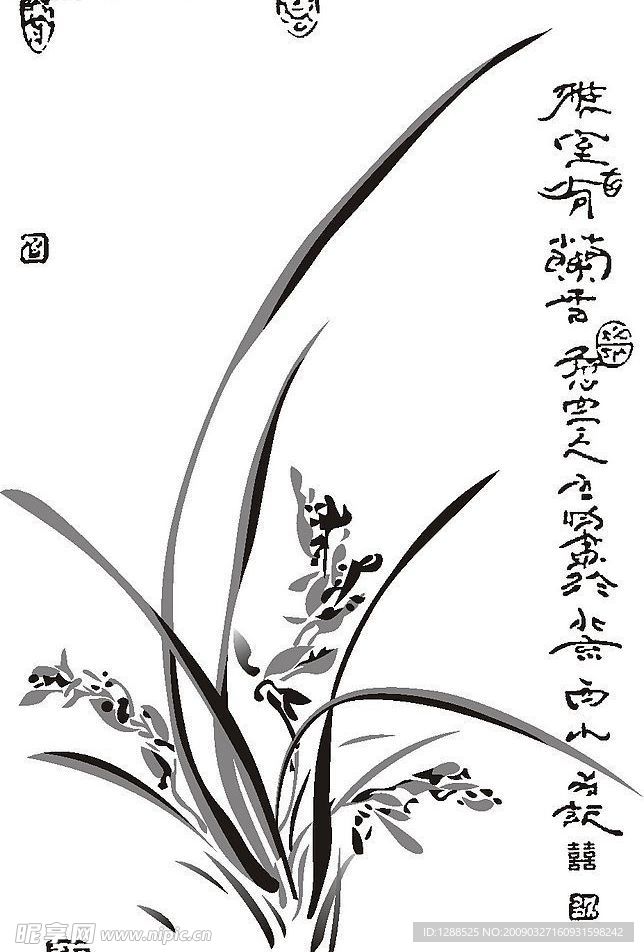 兰花