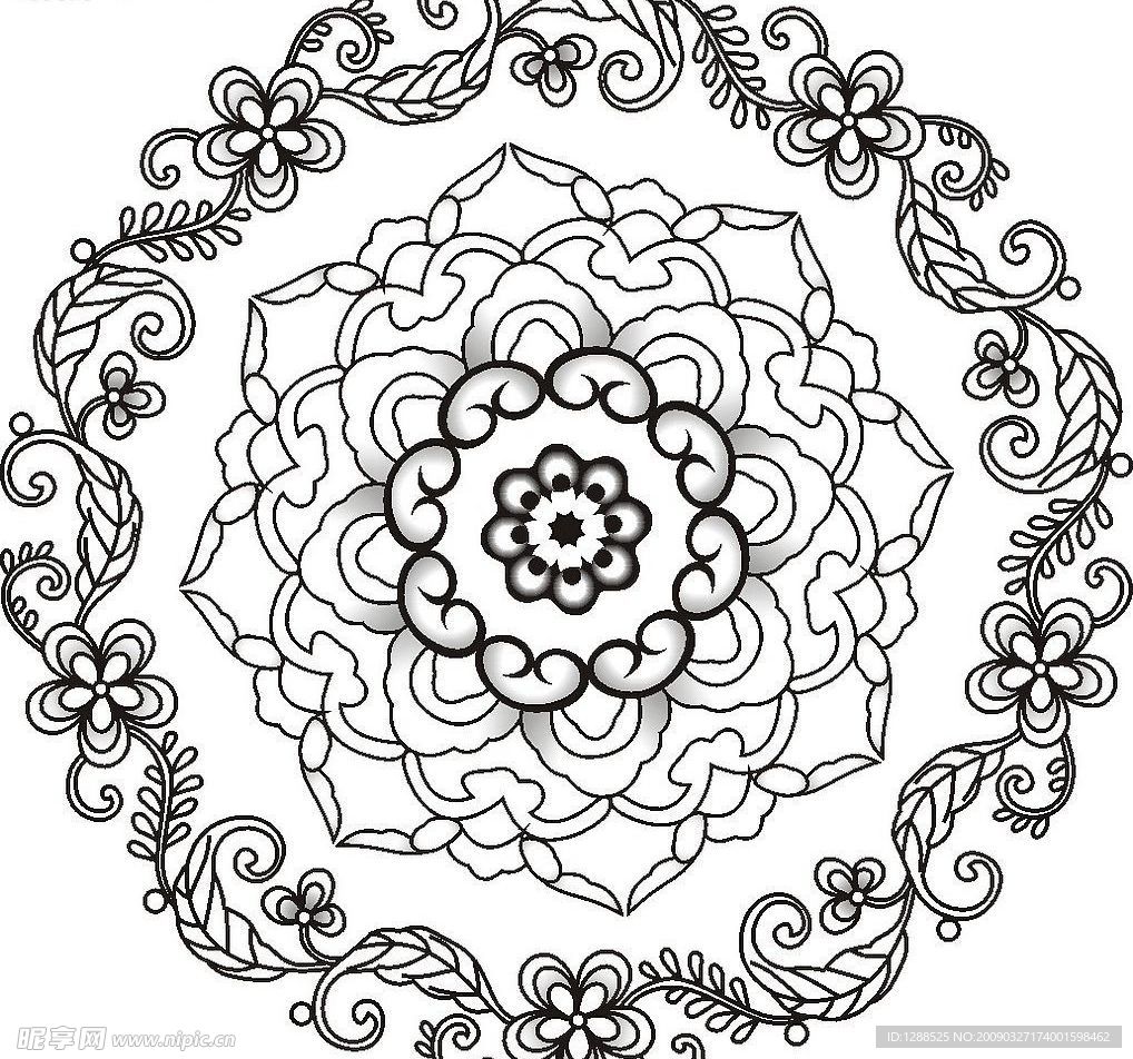 花纹