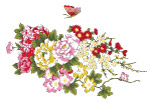 韩国花纹