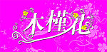木槿花