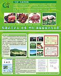 合佳海报设计