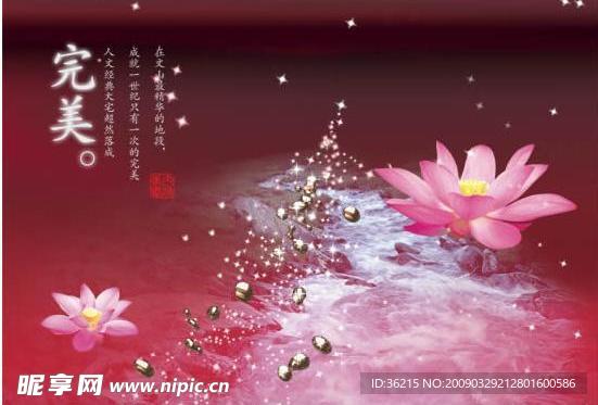 完美荷花