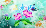 品味夏天