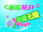 海报封面