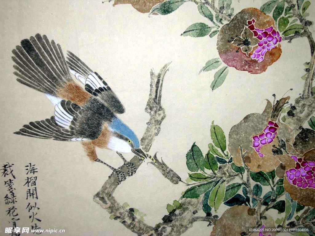 花鸟