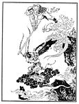 戏剧小说人物04 孙悟空三打白骨精