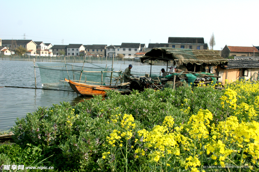 水乡 美景