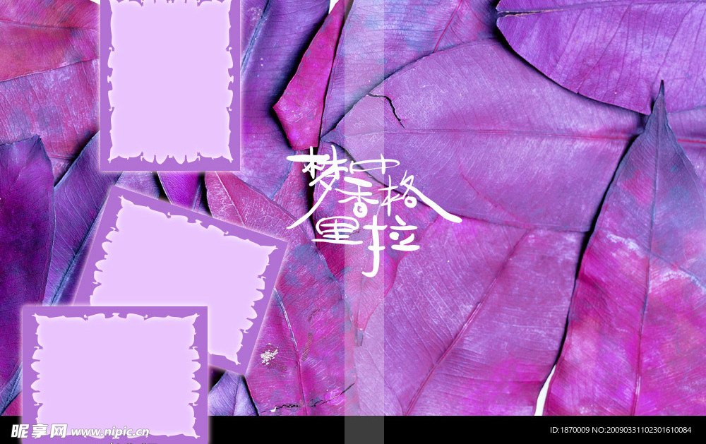 梦中的香格里拉