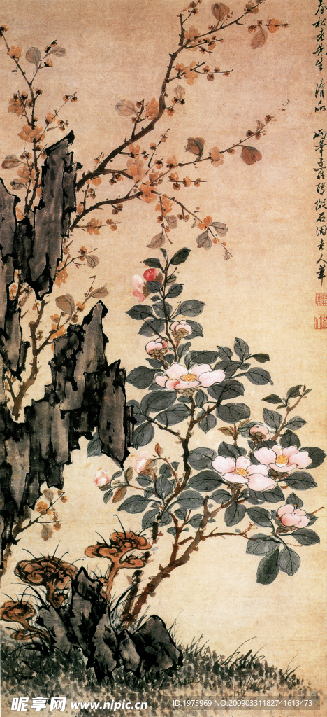 茶花