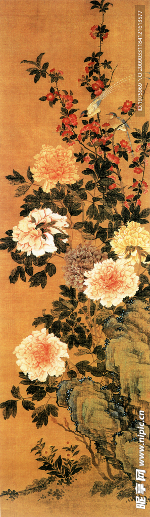 牡丹