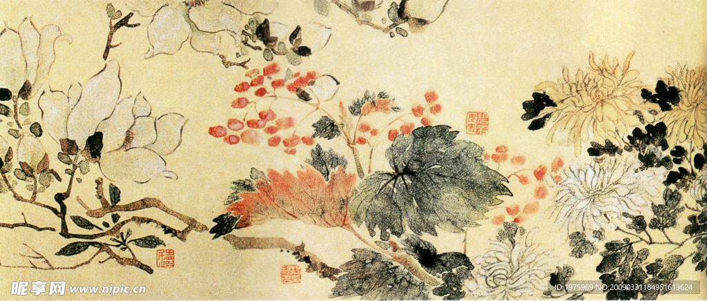 菊花