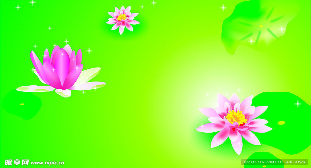 荷花