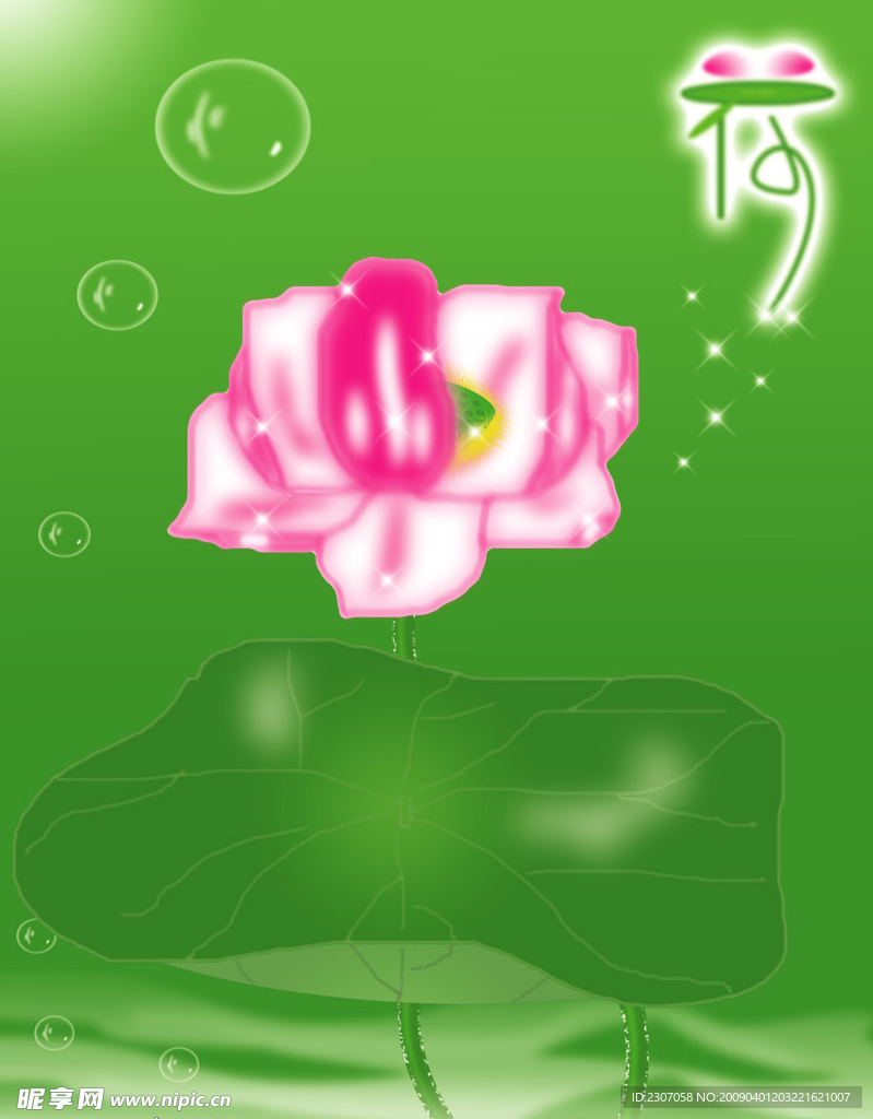 荷花